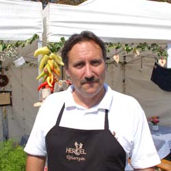 Majer Gzörgy